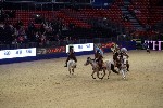 Quadrille - 00326